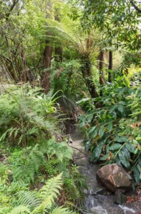 Upwey Paddys Creek Retreat 빌라 외부 사진
